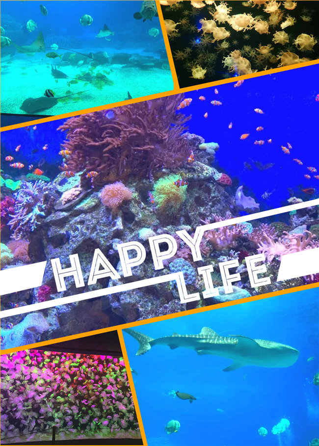 廣東博皓親子游：珠海長隆海洋王國，探索海洋生物的奧秘，奇妙的動物世界