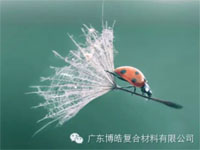 【博皓感悟】成功，要“借力”，不要“盡力”